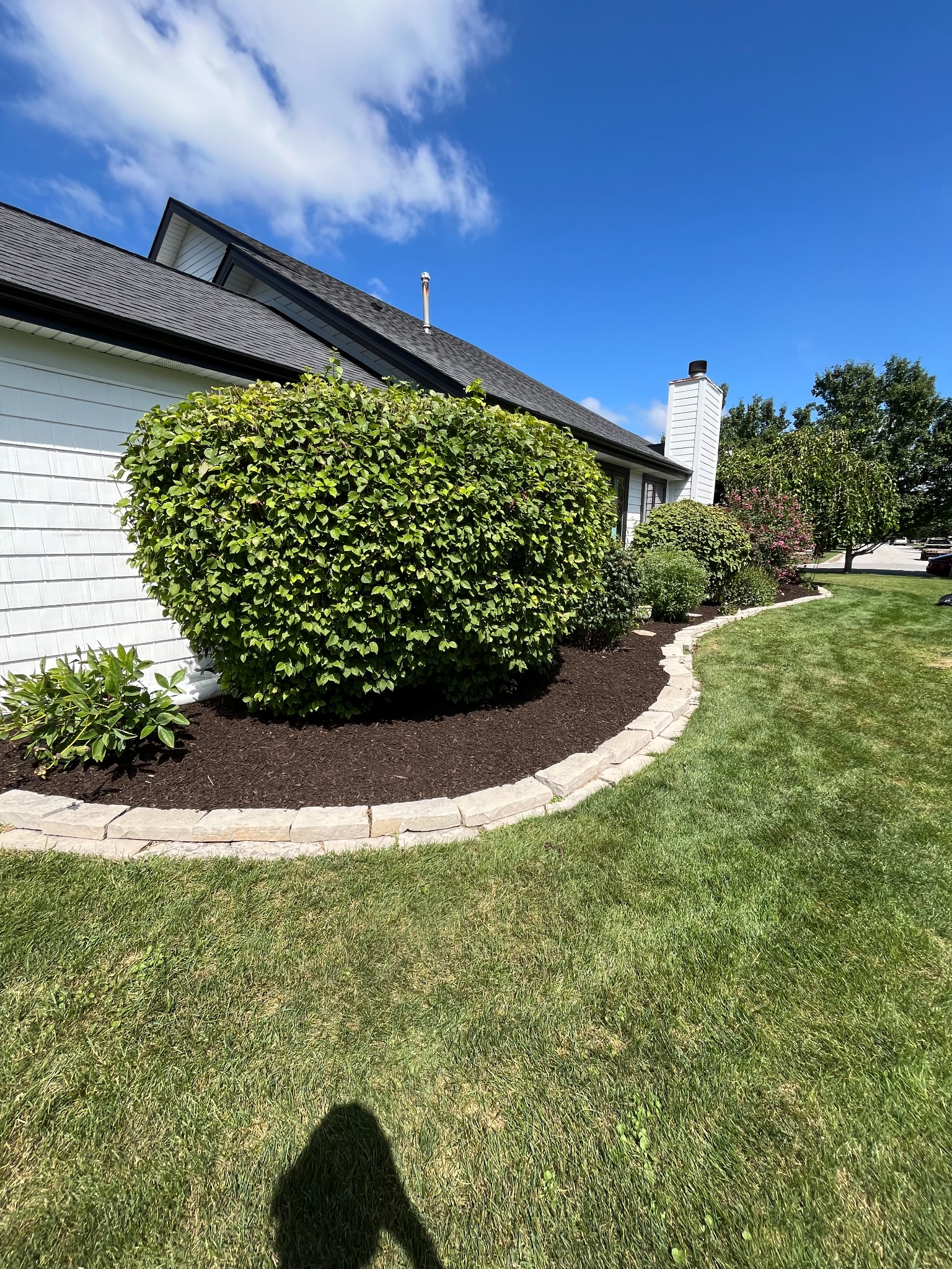 Shrub and landscape bed maintenance