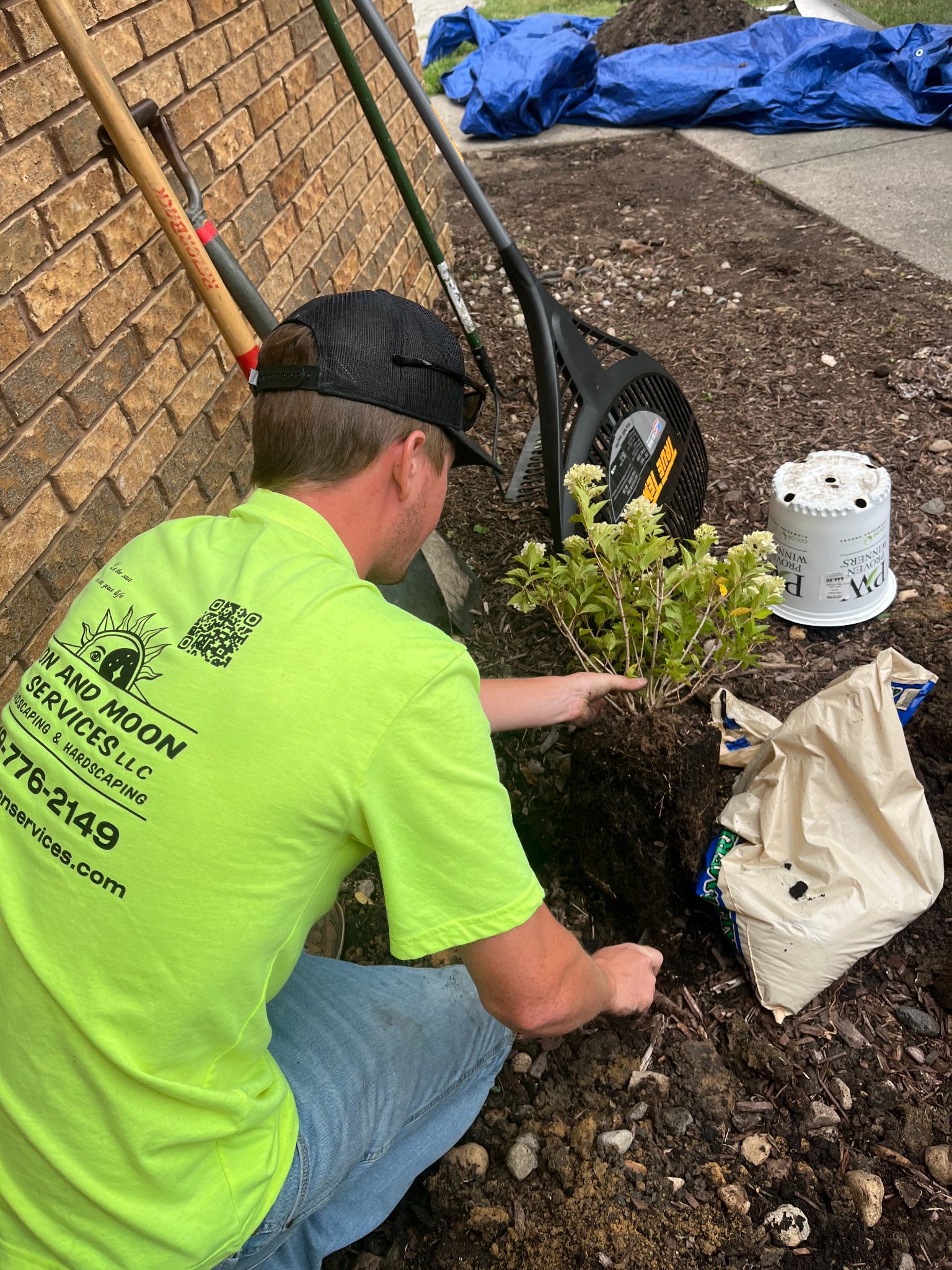 Planting a landscape bed